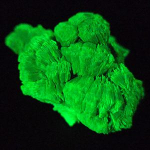 Lamellar Autunite / Meta- Autunite Crystal - Fluorescent Uranium Ore, 30 Grams