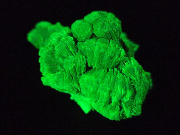 Lamellar Autunite / Meta- Autunite Crystal - Fluorescent Uranium Ore, 30 Grams