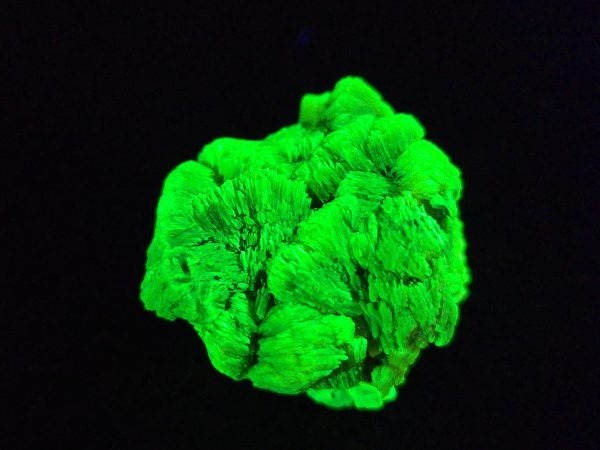 Lamellar Autunite Crystal  - Fluorescent Uranium Ore,  12 Grams - Image 4
