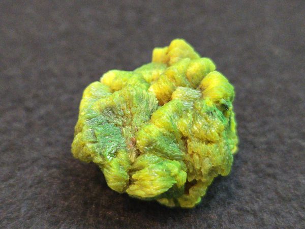 Lamellar Autunite Crystal  - Fluorescent Uranium Ore,  12 Grams - Image 5