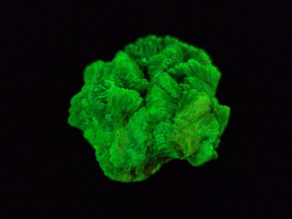 Lamellar Autunite Crystal  - Fluorescent Uranium Ore,  12 Grams - Image 7