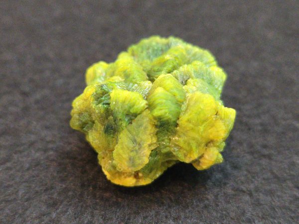 Lamellar Autunite Crystal  - Fluorescent Uranium Ore,  12 Grams - Image 8