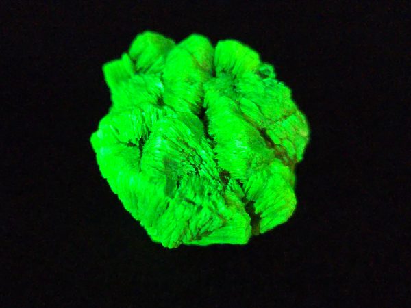 Lamellar Autunite Crystal - Fluorescent Uranium Ore, 12 Grams