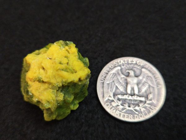 Lamellar Autunite Crystal  - Fluorescent Uranium Ore,  12 Grams - Image 17