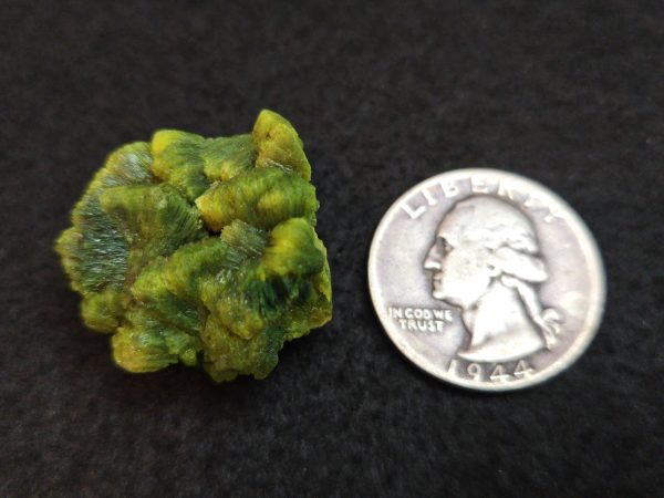 Lamellar Autunite Crystal  - Fluorescent Uranium Ore,  12 Grams - Image 16