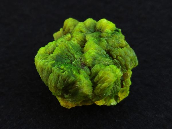 Lamellar Autunite Crystal  - Fluorescent Uranium Ore,  12 Grams - Image 12