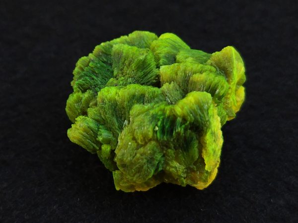 Lamellar Autunite Crystal  - Fluorescent Uranium Ore,  12 Grams - Image 6