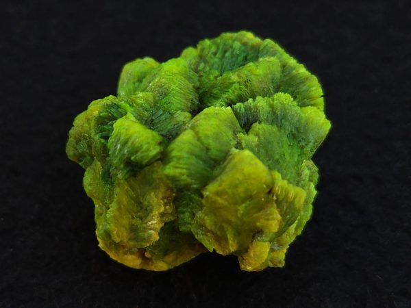 Lamellar Autunite Crystal  - Fluorescent Uranium Ore,  12 Grams - Image 9