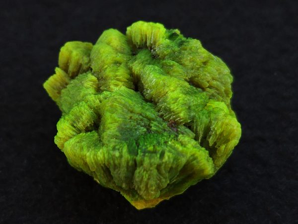 Lamellar Autunite Crystal  - Fluorescent Uranium Ore,  12 Grams - Image 3