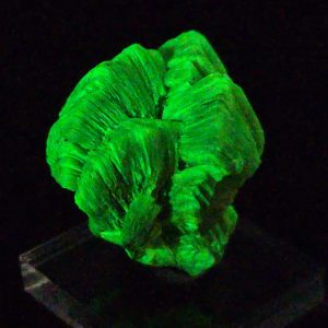 Lamellar Autunite Crystal - Fluorescent Uranium Ore, 15 Grams