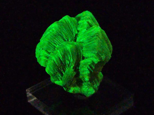 Lamellar Autunite Crystal - Fluorescent Uranium Ore, 15 Grams