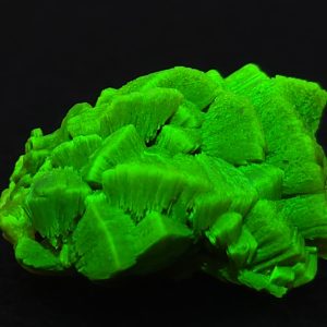 Lamellar Autunite Crystal - Fluorescent Uranium Ore, 10 Grams