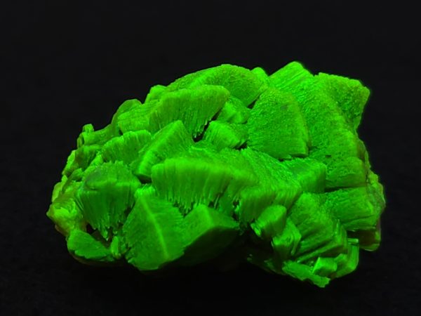 Lamellar Autunite Crystal - Fluorescent Uranium Ore, 10 Grams