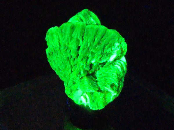 Lamellar Autunite Crystal - Fluorescent Uranium Ore, 5 Grams