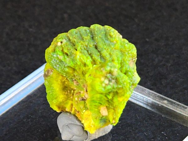 Lamellar Autunite Crystal  - Fluorescent Uranium Ore,  5.2 Grams - Image 9