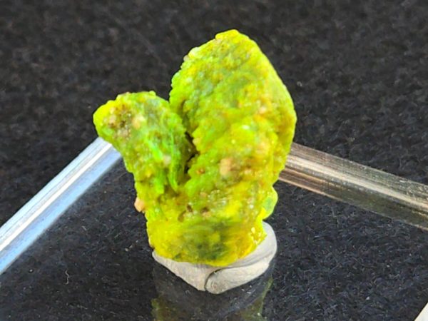 Lamellar Autunite Crystal  - Fluorescent Uranium Ore,  5.2 Grams - Image 11