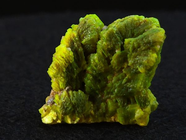 Lamellar Autunite Crystal - Fluorescent Uranium Ore, 5 Grams