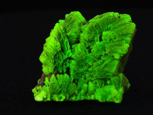 Lamellar Autunite Crystal - Fluorescent Uranium Ore, 5 Grams