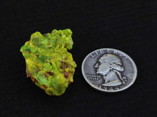 Autunite / Meta-autunite on Matrix ~ Fluorescent Uranium Ore, 10 Grams - Image 15