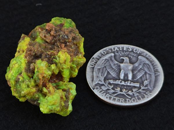 Autunite / Meta-autunite on Matrix ~ Fluorescent Uranium Ore, 10 Grams - Image 16