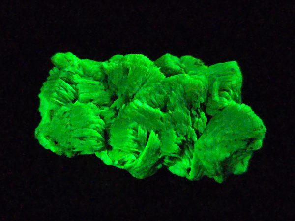 Lamellar Autunite Crystal - Fluorescent Uranium Ore, 10.7 Grams