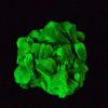 Lamellar Autunite Crystal - Fluorescent Uranium Ore, 8.9 Grams