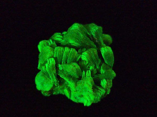 Lamellar Autunite Crystal - Fluorescent Uranium Ore, 8.9 Grams