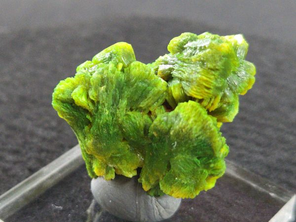 Lamellar Autunite Crystal - Fluorescent Uranium Ore, 15.8 Grams