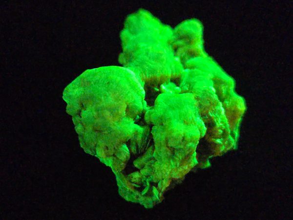 Lamellar Autunite Crystal - Fluorescent Uranium Ore, 11 Grams