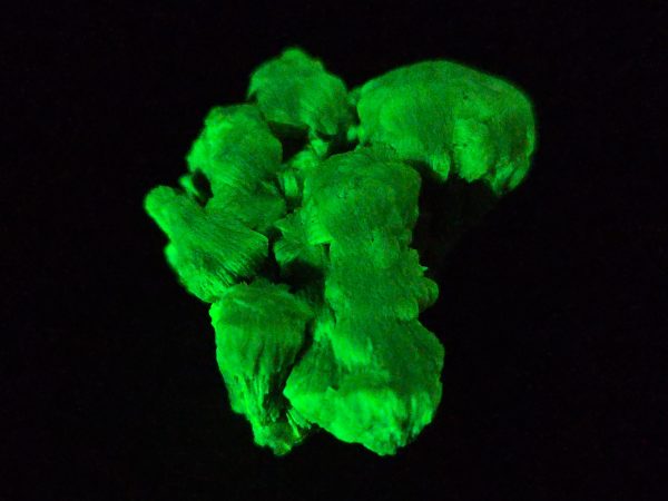 Lamellar Autunite Crystal - Fluorescent Uranium Ore, 11 Grams