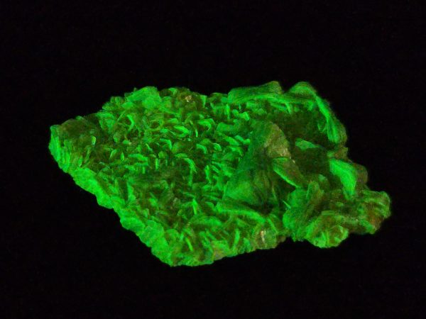 Autunite Crystal - Fluorescent Uranium Ore, 3 Grams