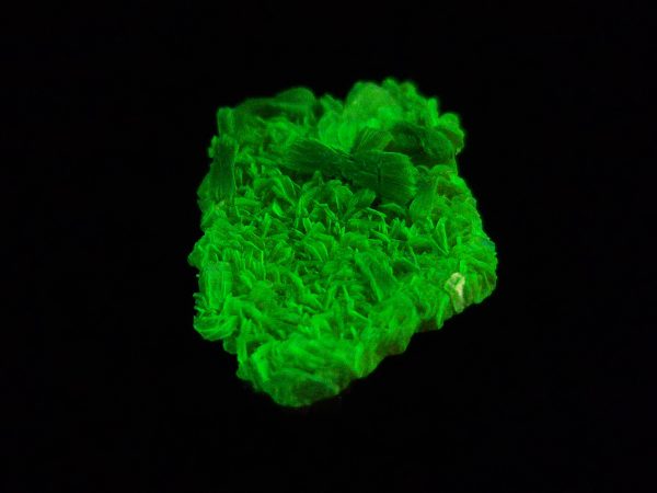 Autunite Crystal  - Fluorescent Uranium Ore,  3 Grams - Image 4