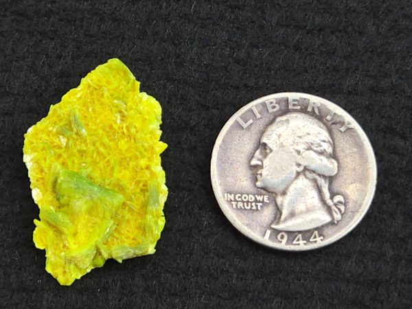 Autunite Crystal  - Fluorescent Uranium Ore,  3 Grams - Image 12