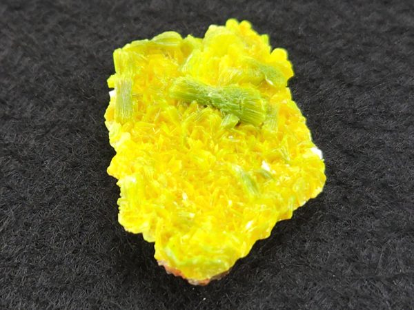 Autunite Crystal  - Fluorescent Uranium Ore,  3 Grams - Image 6