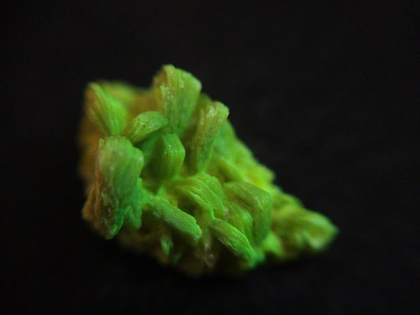 Lamellar Autunite Crystal  - Fluorescent Uranium Ore,  1.7 Grams - Image 7