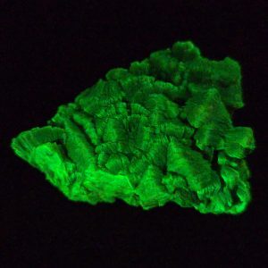 Lamellar Autunite Crystal - Fluorescent Uranium Ore, 10.7 Grams