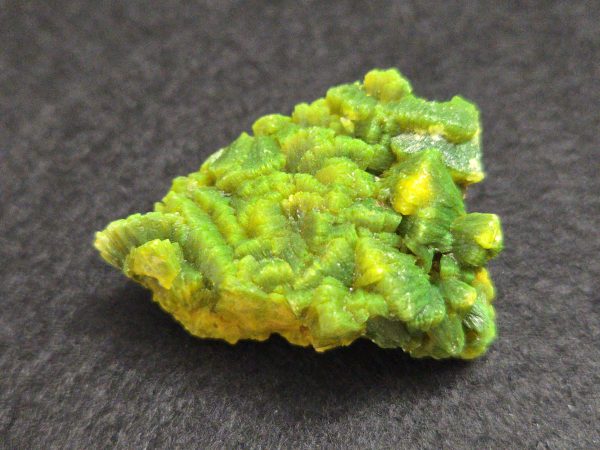 Lamellar Autunite Crystal  - Fluorescent Uranium Ore,  10.7 Grams - Image 2