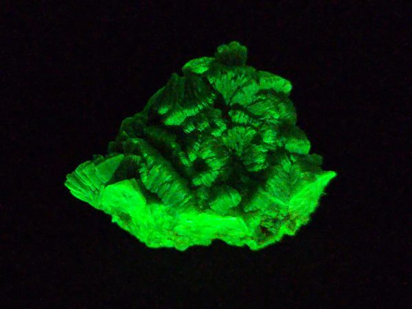 Lamellar Autunite Crystal  - Fluorescent Uranium Ore,  10.7 Grams - Image 7