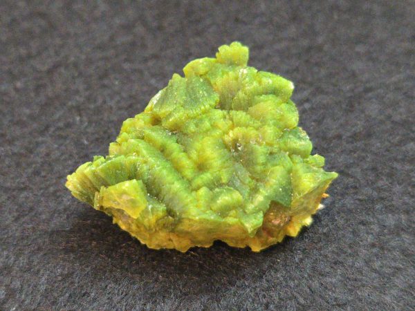 Lamellar Autunite Crystal  - Fluorescent Uranium Ore,  10.7 Grams - Image 8