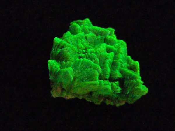 Lamellar Autunite Crystal  - Fluorescent Uranium Ore,  10.7 Grams - Image 9