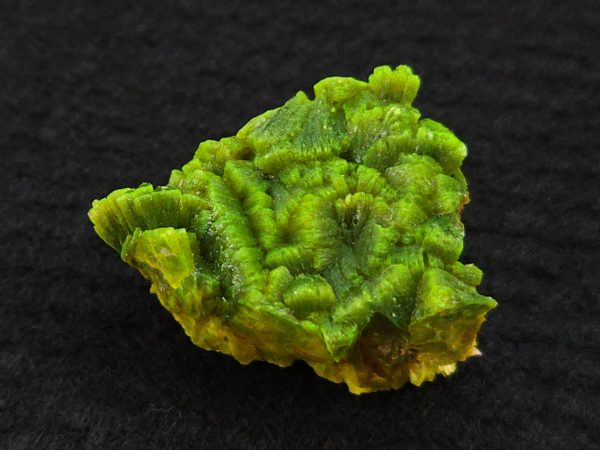 Lamellar Autunite Crystal  - Fluorescent Uranium Ore,  10.7 Grams - Image 3