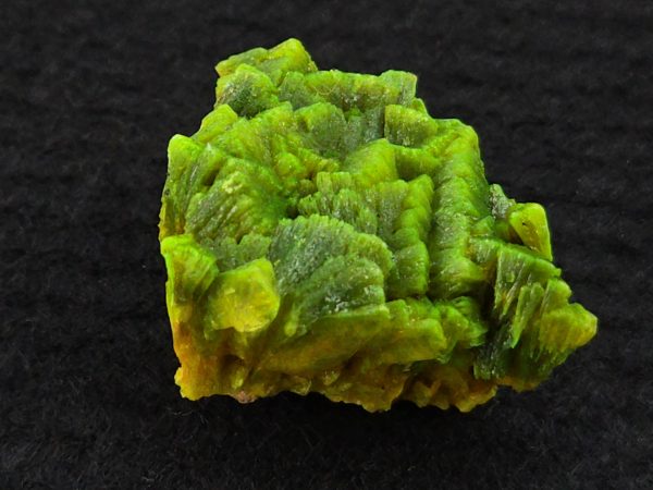 Lamellar Autunite Crystal  - Fluorescent Uranium Ore,  10.7 Grams - Image 10