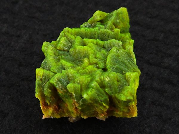 Lamellar Autunite Crystal  - Fluorescent Uranium Ore,  10.7 Grams - Image 5