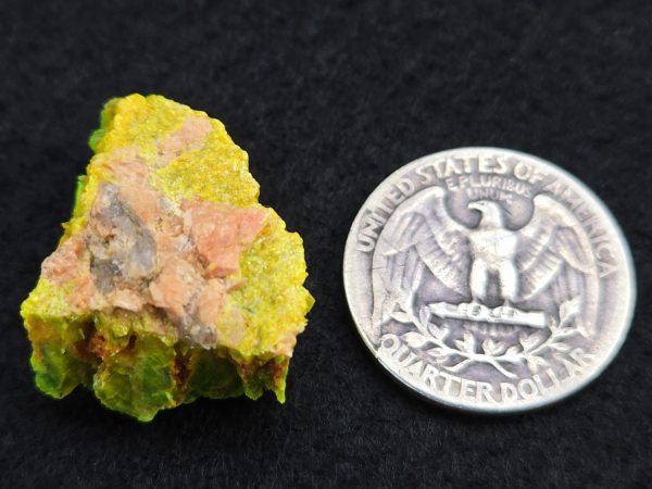 Lamellar Autunite Crystal  - Fluorescent Uranium Ore,  10.7 Grams - Image 16