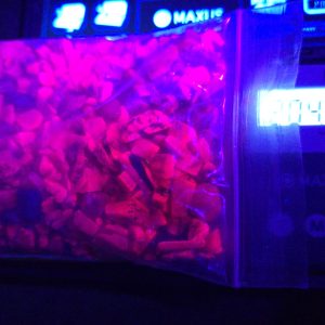 Fluorescent Corundum Ruby Pieces, 200 Grams