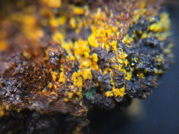 Torbernite and Parsonsite on Matrix - Guangxi, China - Image 9