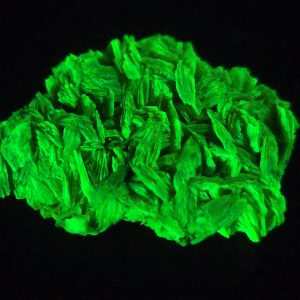 Autunite / Meta-Autunite Crystal - Fluorescent Uranium Ore, 2.8 Grams