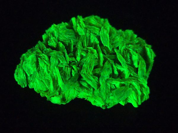 Autunite / Meta-Autunite Crystal - Fluorescent Uranium Ore, 2.8 Grams