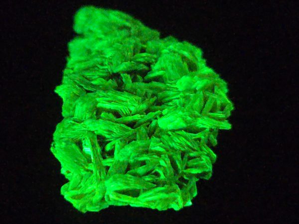 Autunite / Meta-Autunite Crystal - Fluorescent Uranium Ore, 2.8 Grams - Image 4