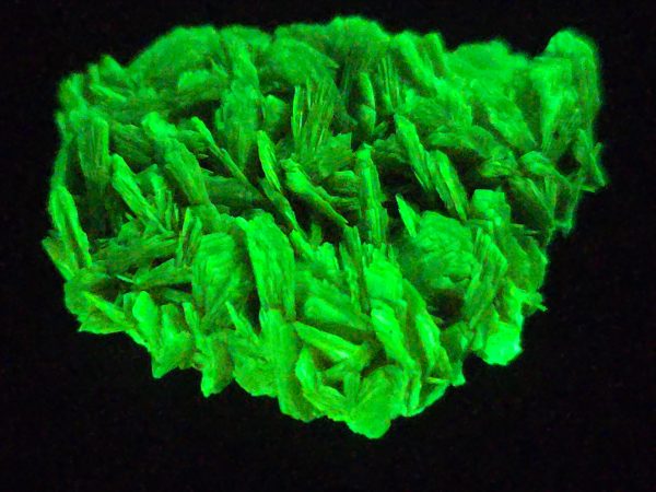 Autunite / Meta-Autunite Crystal - Fluorescent Uranium Ore, 2.8 Grams - Image 7